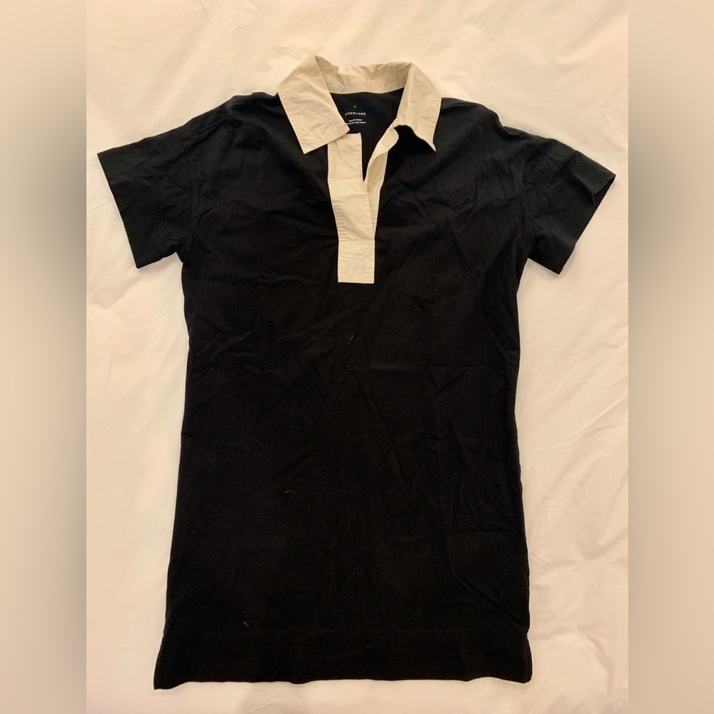 Everlane Mini Shirt Dress